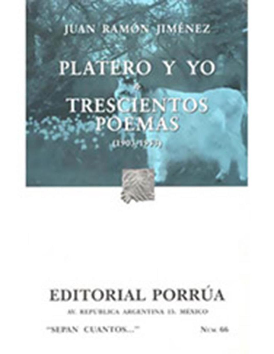 Libro Platero y Yo, Trescientos Problemas