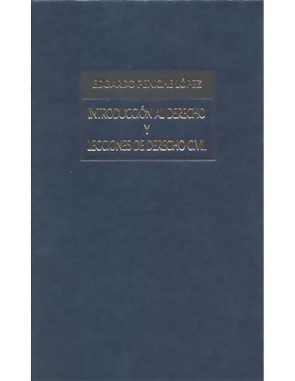 Libro Introducción al Derecho y Lecciones de Derecho Civil 1