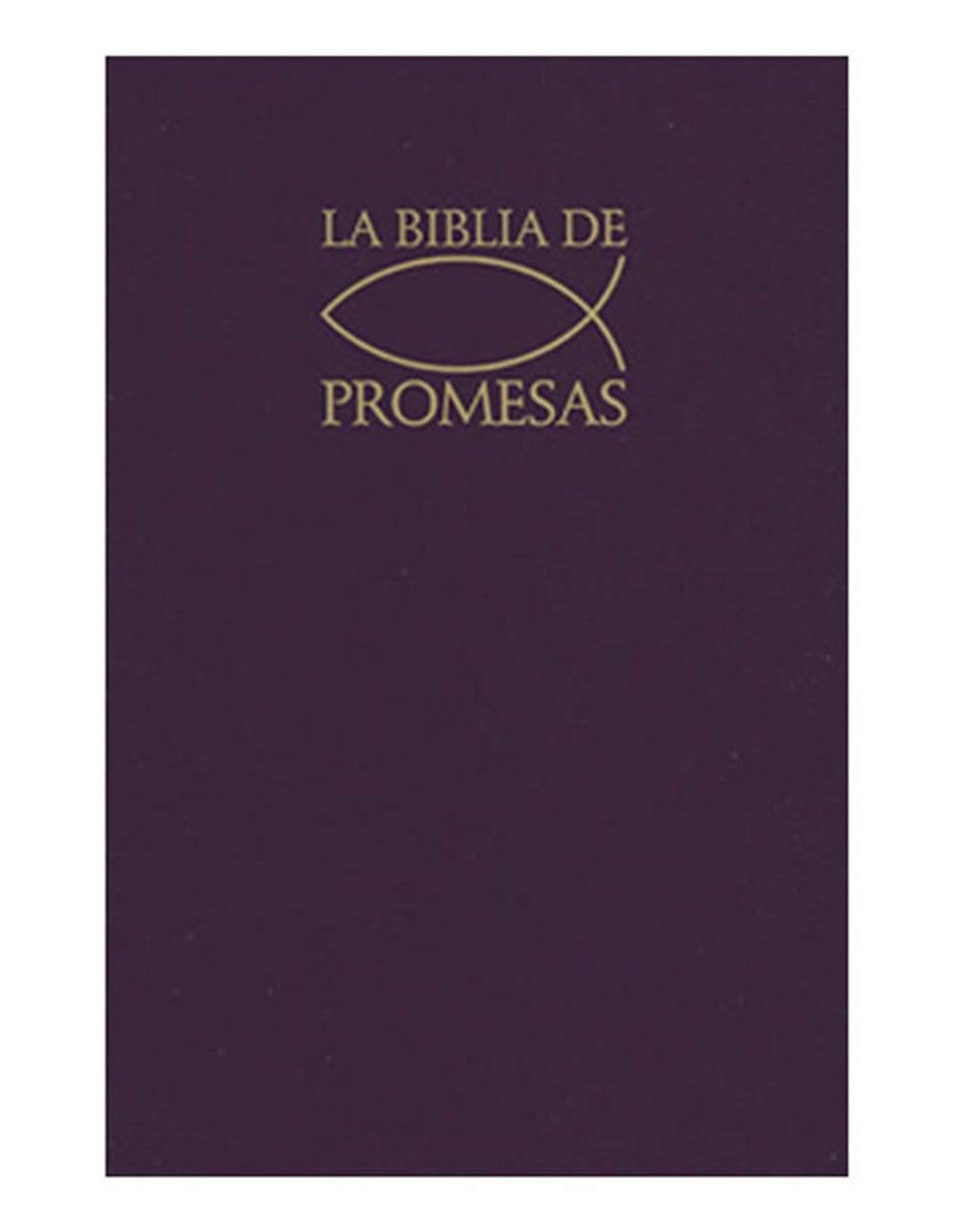 Libro La Santa Biblia Edición de Promesas Tono Gris 1