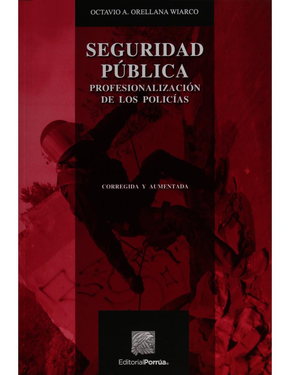 Seguridad Publica
