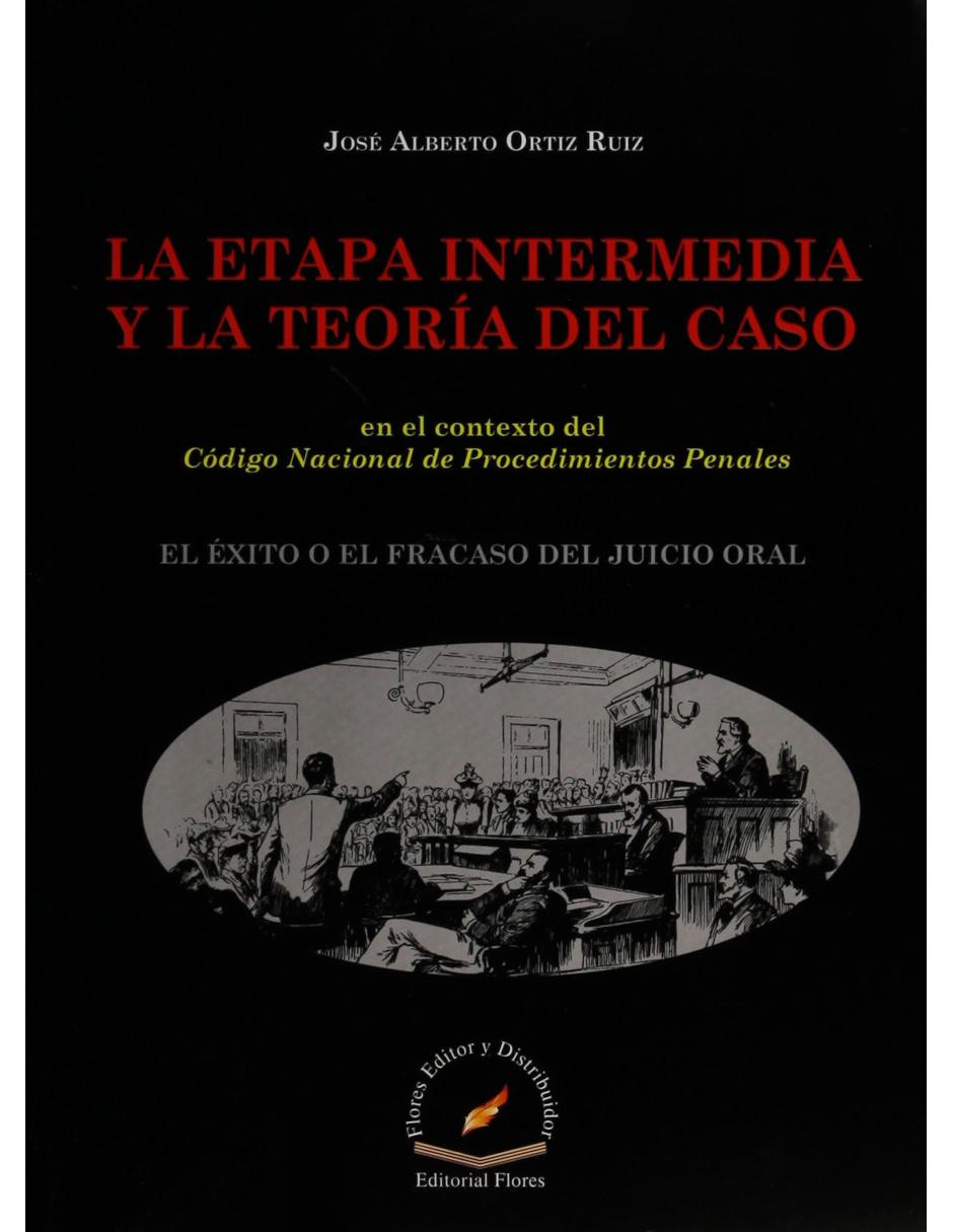La Etapa Intermedia y la Teoría del Caso