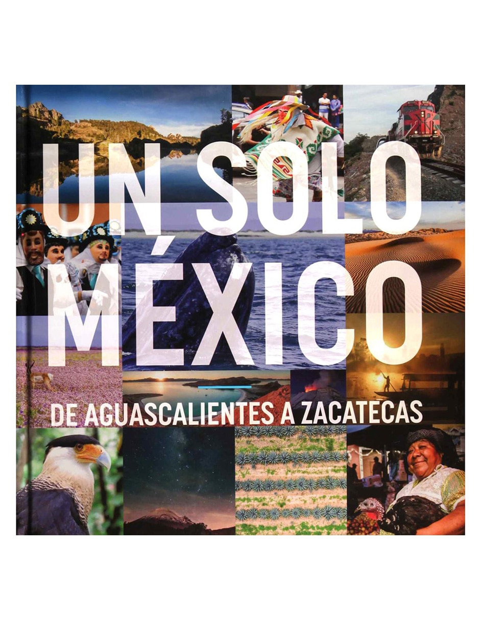 Un Solo México Un Solo México