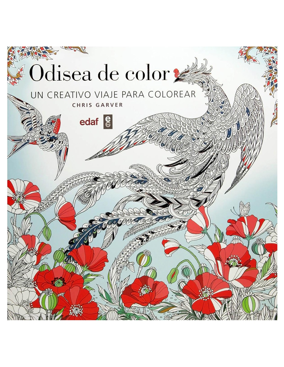 Odisea de Color 1