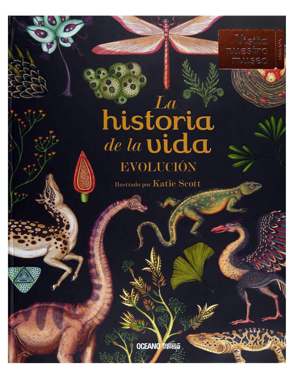 La Historia de La Vida 1