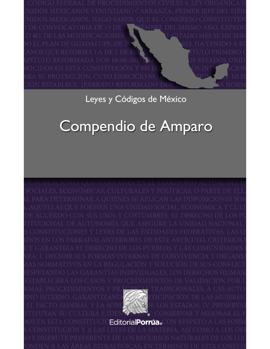Revista Compendio De Amparo