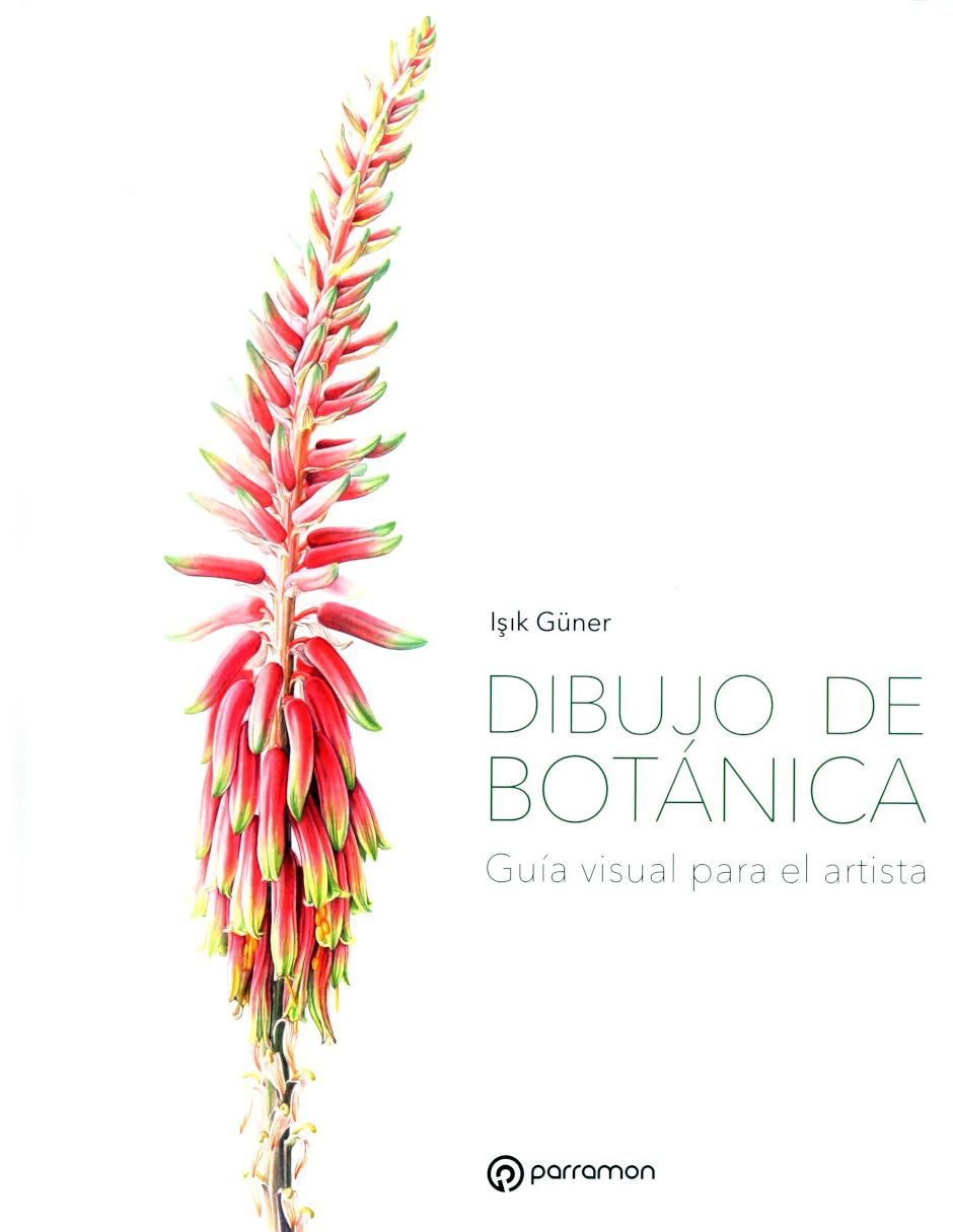 Libro Dibujo De Botánica Libro Dibujo De Botánica