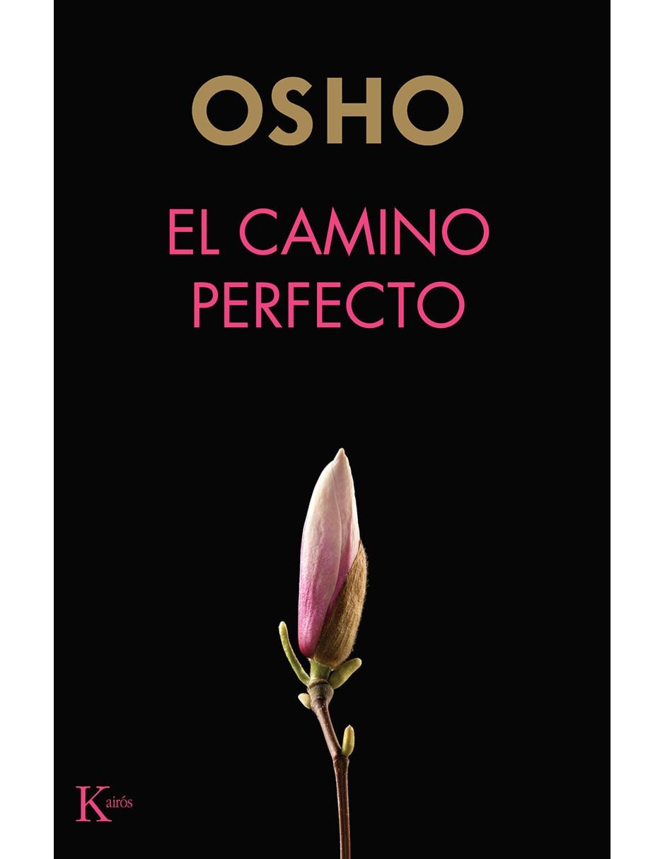 Libro El camino perfecto Libro El camino perfecto