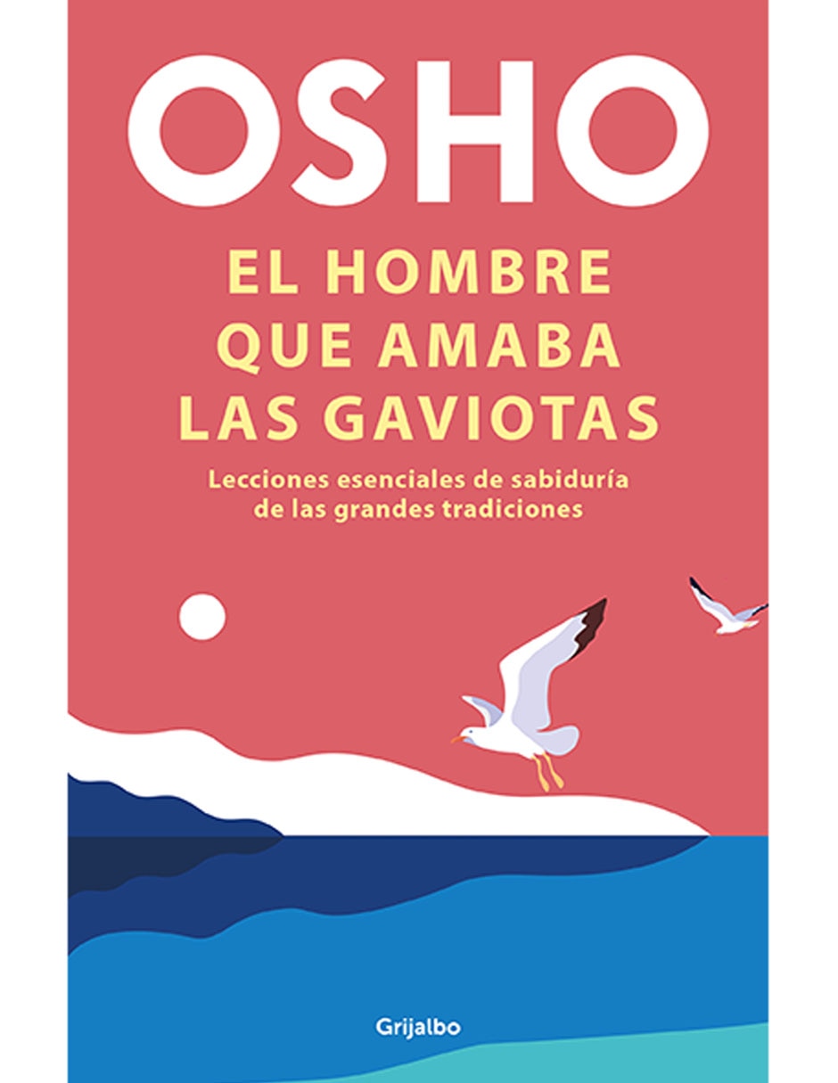 El Hombre que Amaba las Gaviotas 1