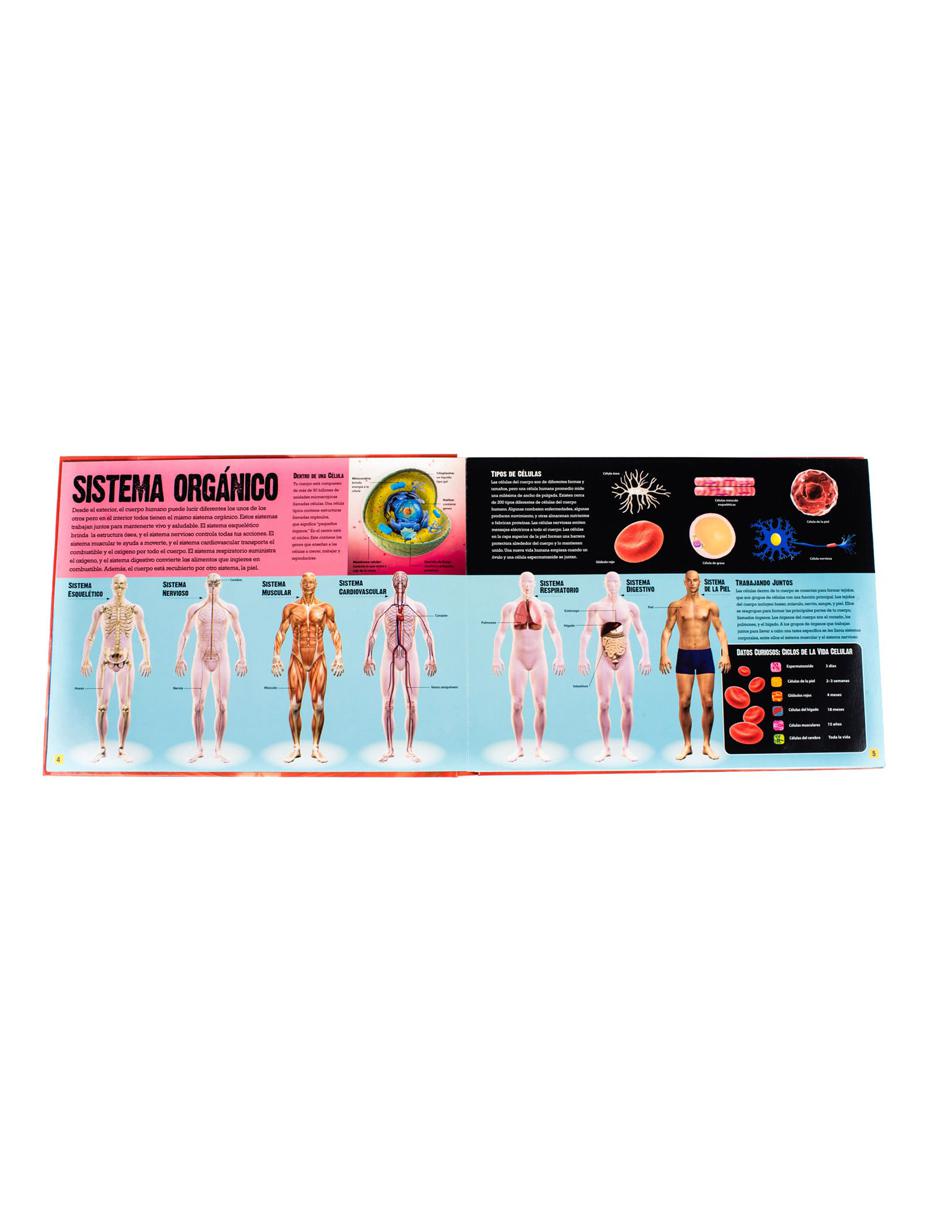 El Cuerpo Humano 2