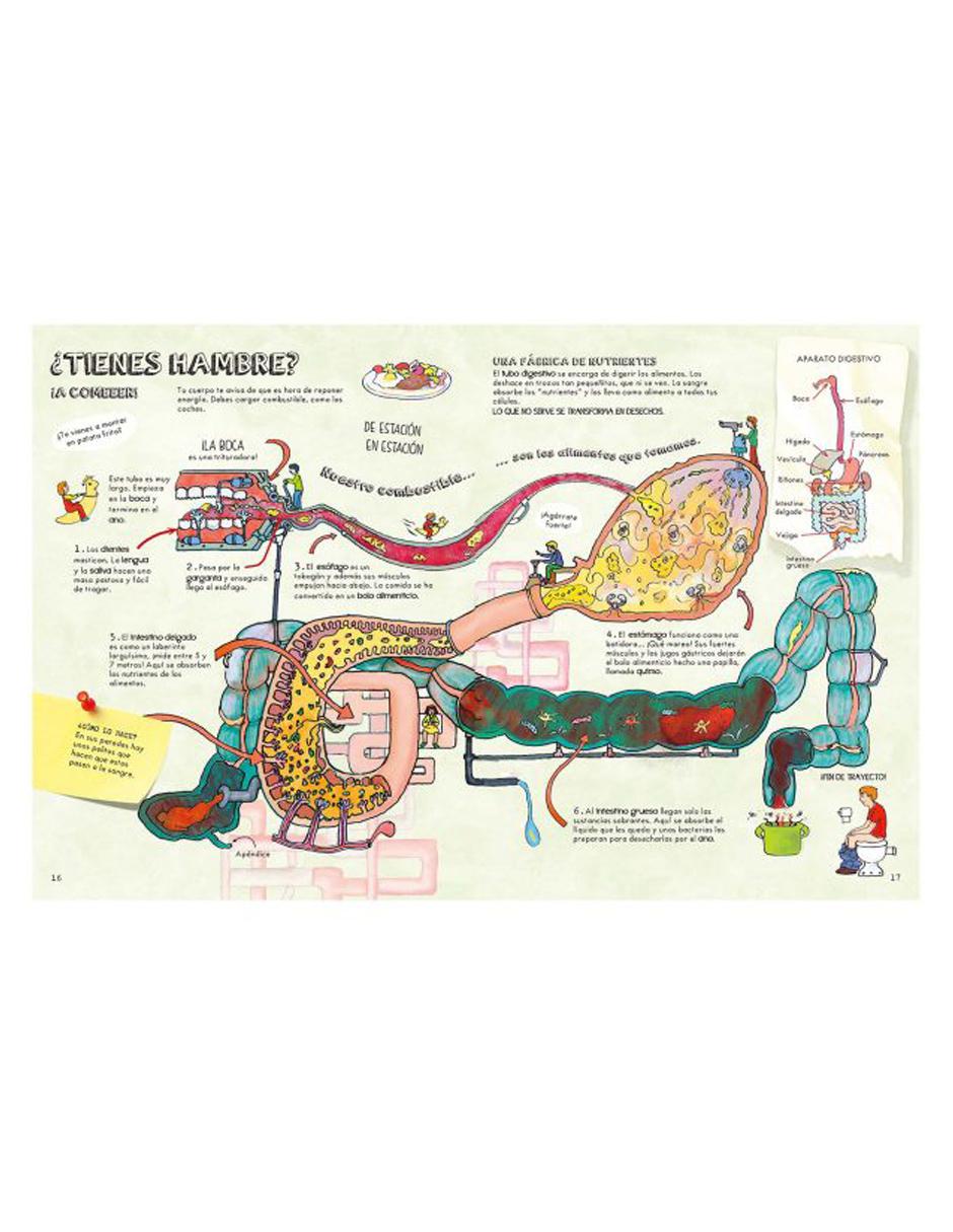 El Cuerpo Humano 2