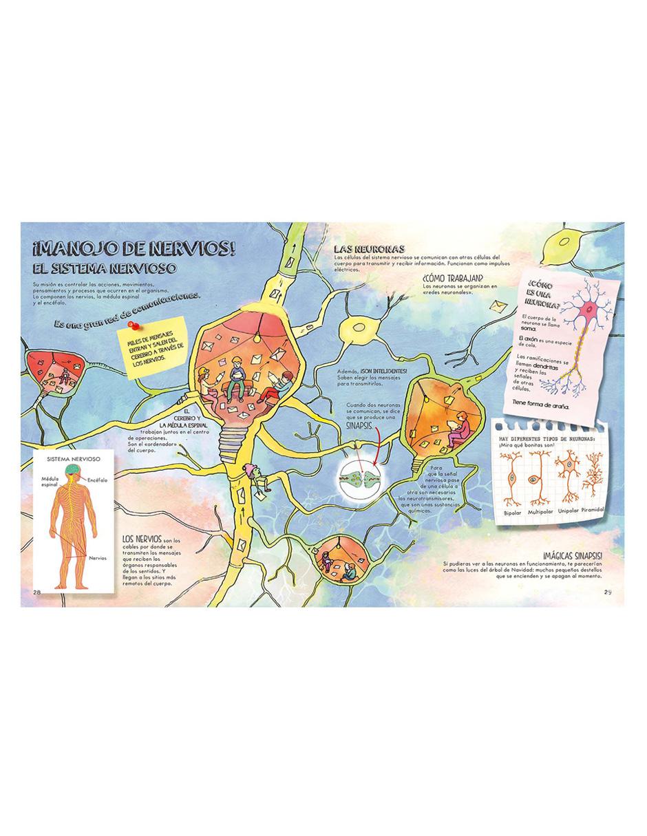 El Cuerpo Humano 3