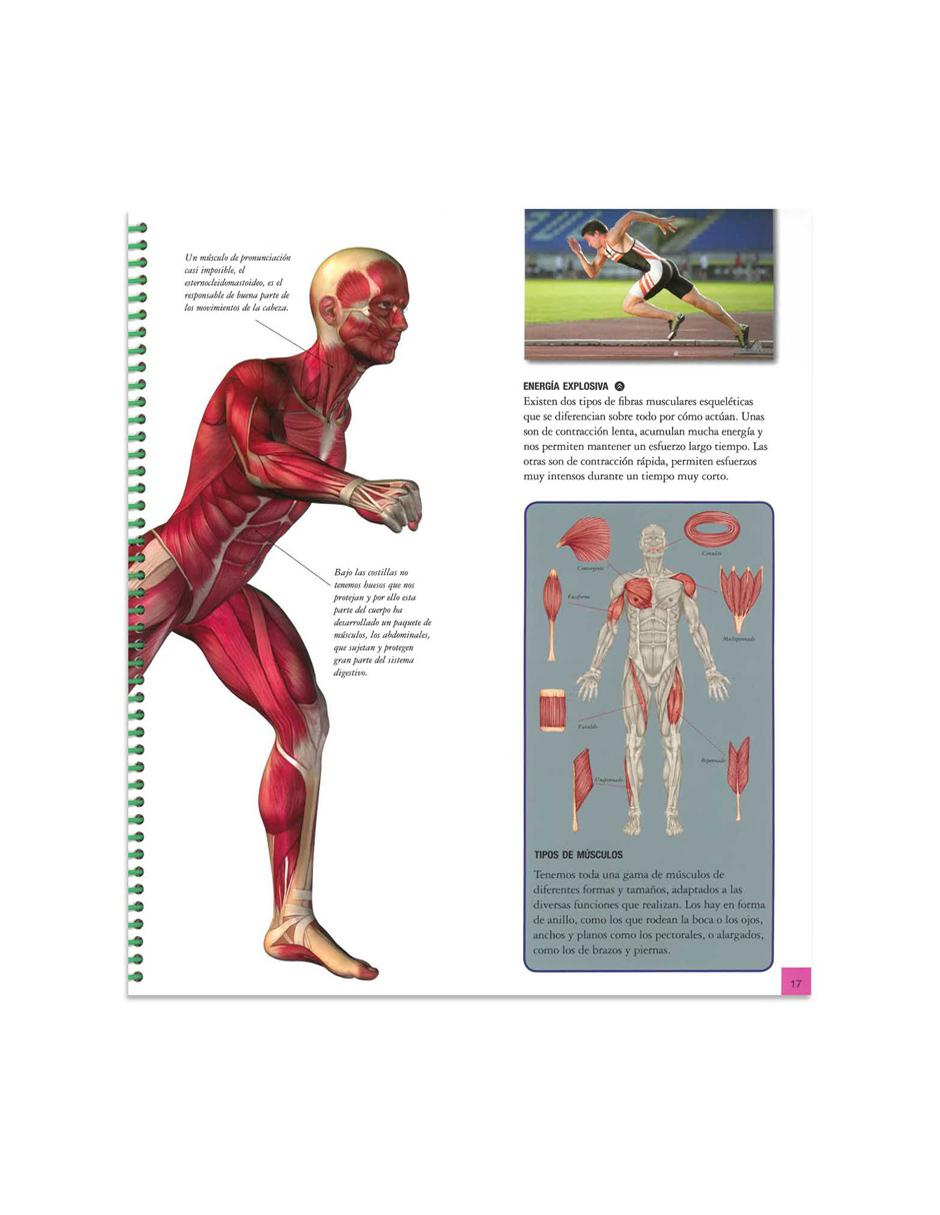 Explora El Cuerpo Humano 3
