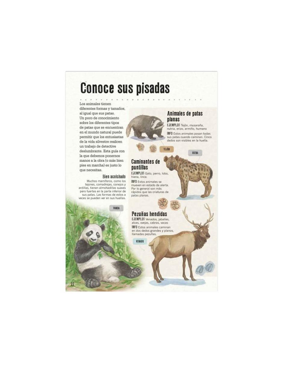 La Pista Está En La Caca 3