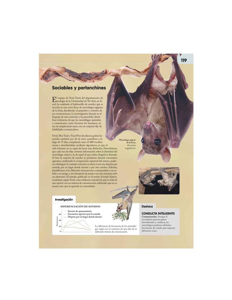 Reino Animal Inteligente 3