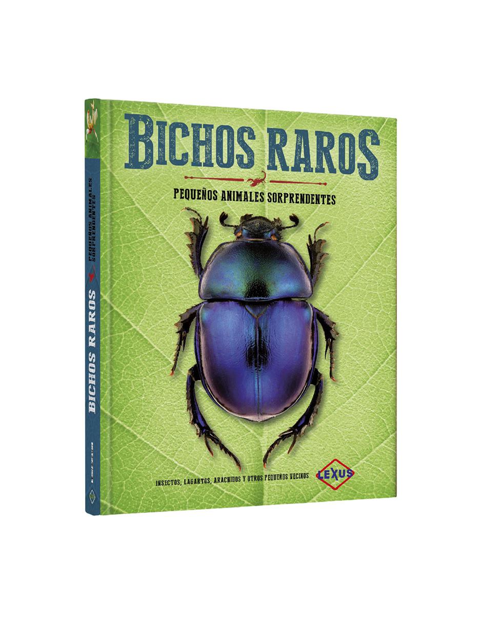 Bichos Raros Pequeños Animales Sorprendentes
