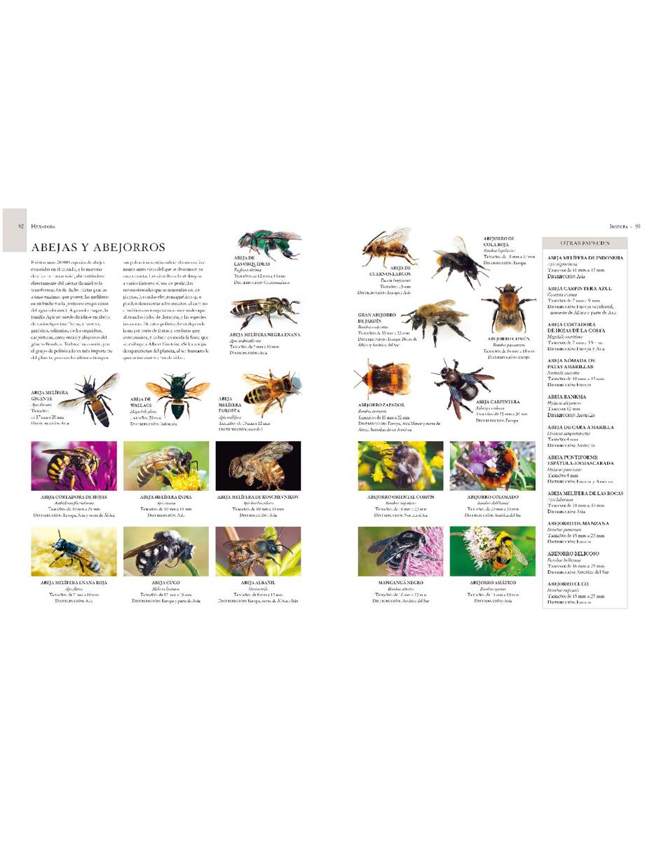 Enciclopedia Ilustrada De Micro Animales 3