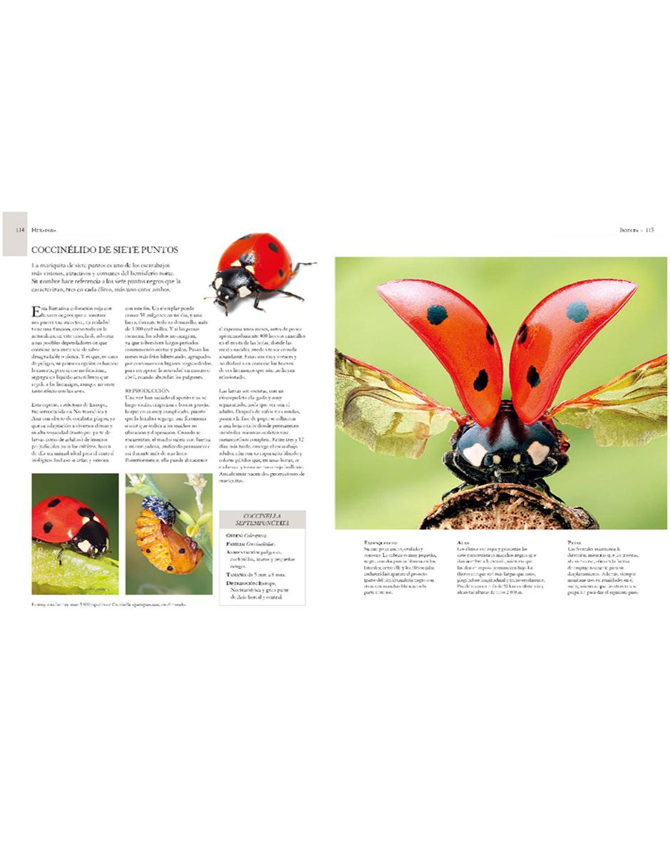Enciclopedia Ilustrada De Micro Animales 4