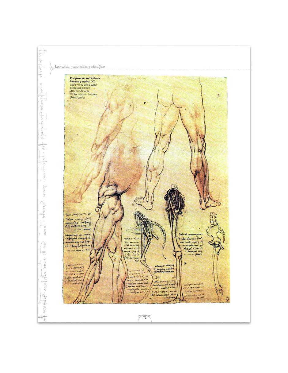 Leonardo El Genio Universal 3