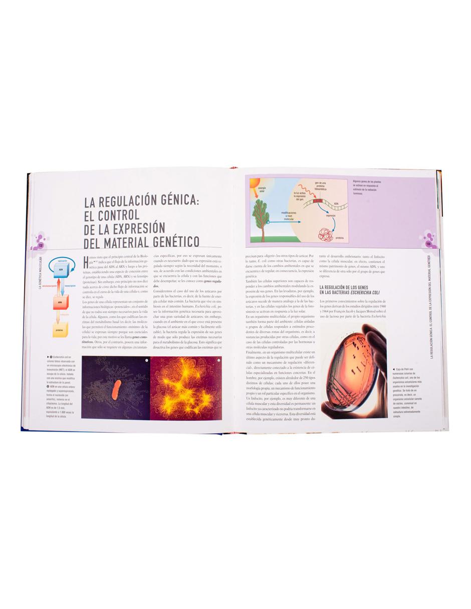 Genética 3