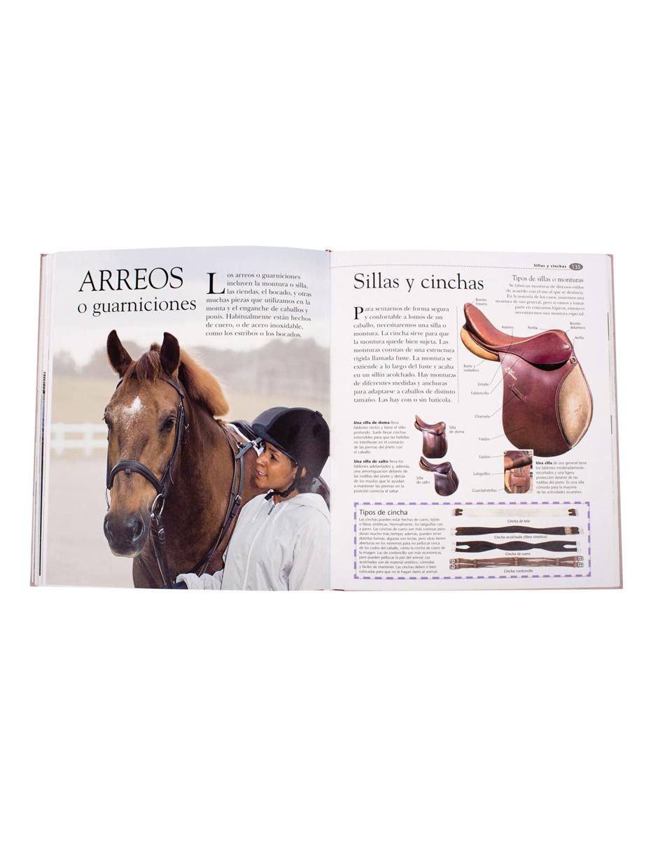 Caballos Y Ponis 3