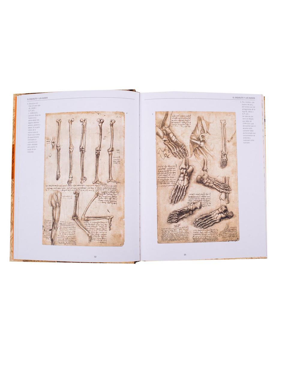 Leonardo Anatomía y Vuelo 3