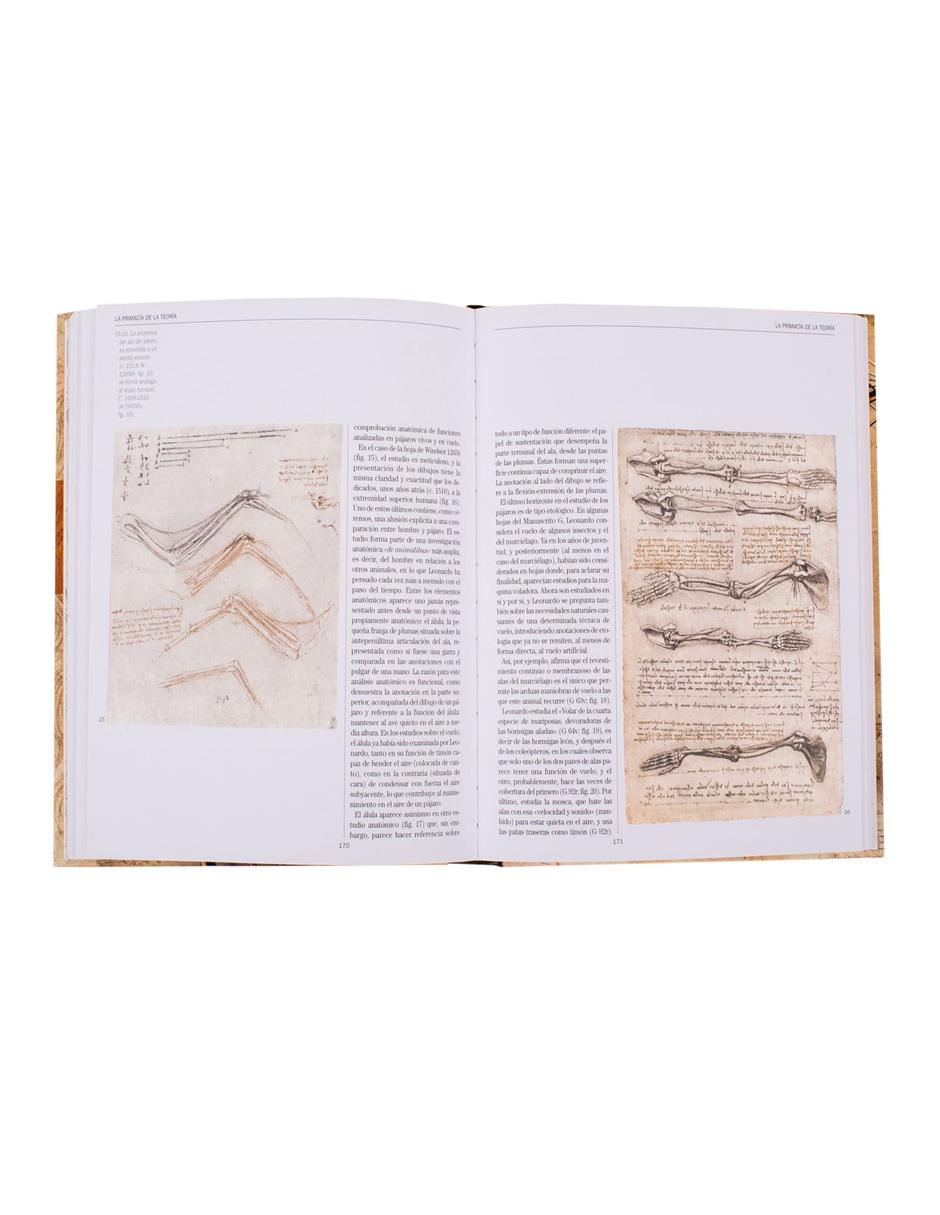 Leonardo Anatomía y Vuelo 4