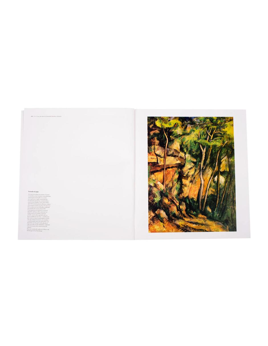 Libro de Arte Cézanne 4