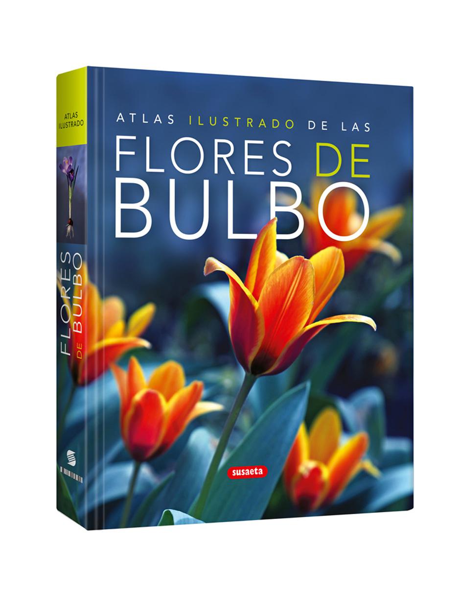 Flores De Bulbo Flores De Bulbo