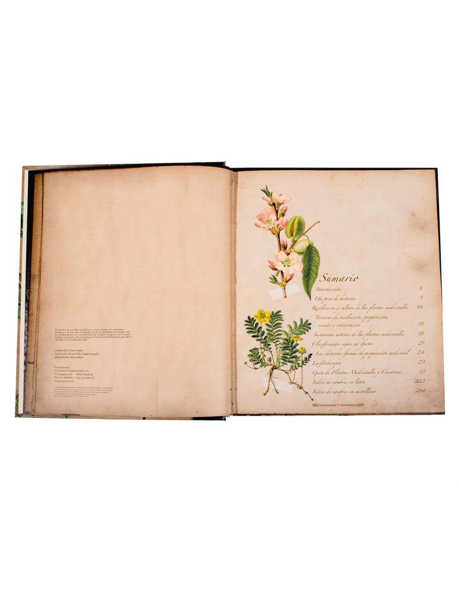 Plantas Silvestres E Infusiones Curativas 2