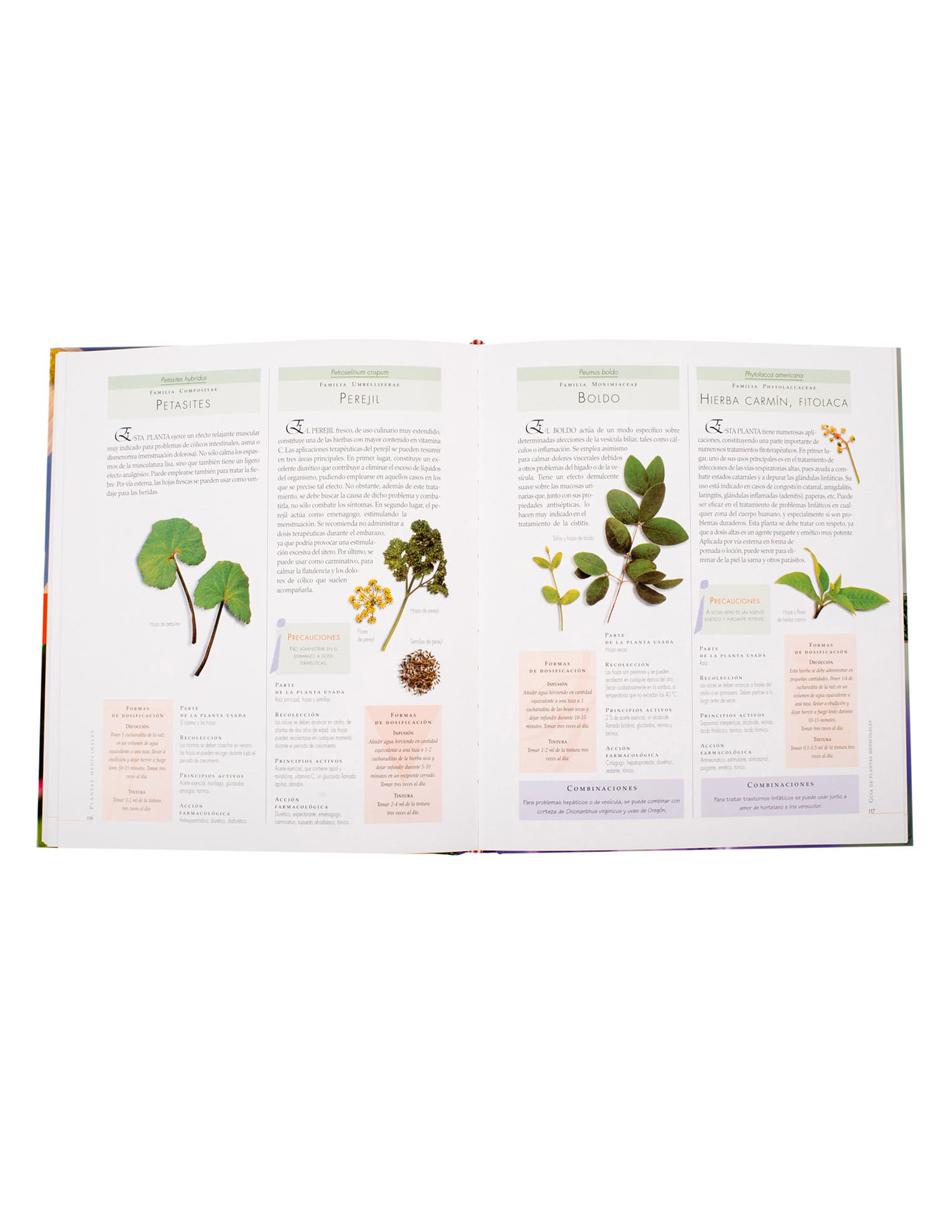 Plantas Medicinales 3