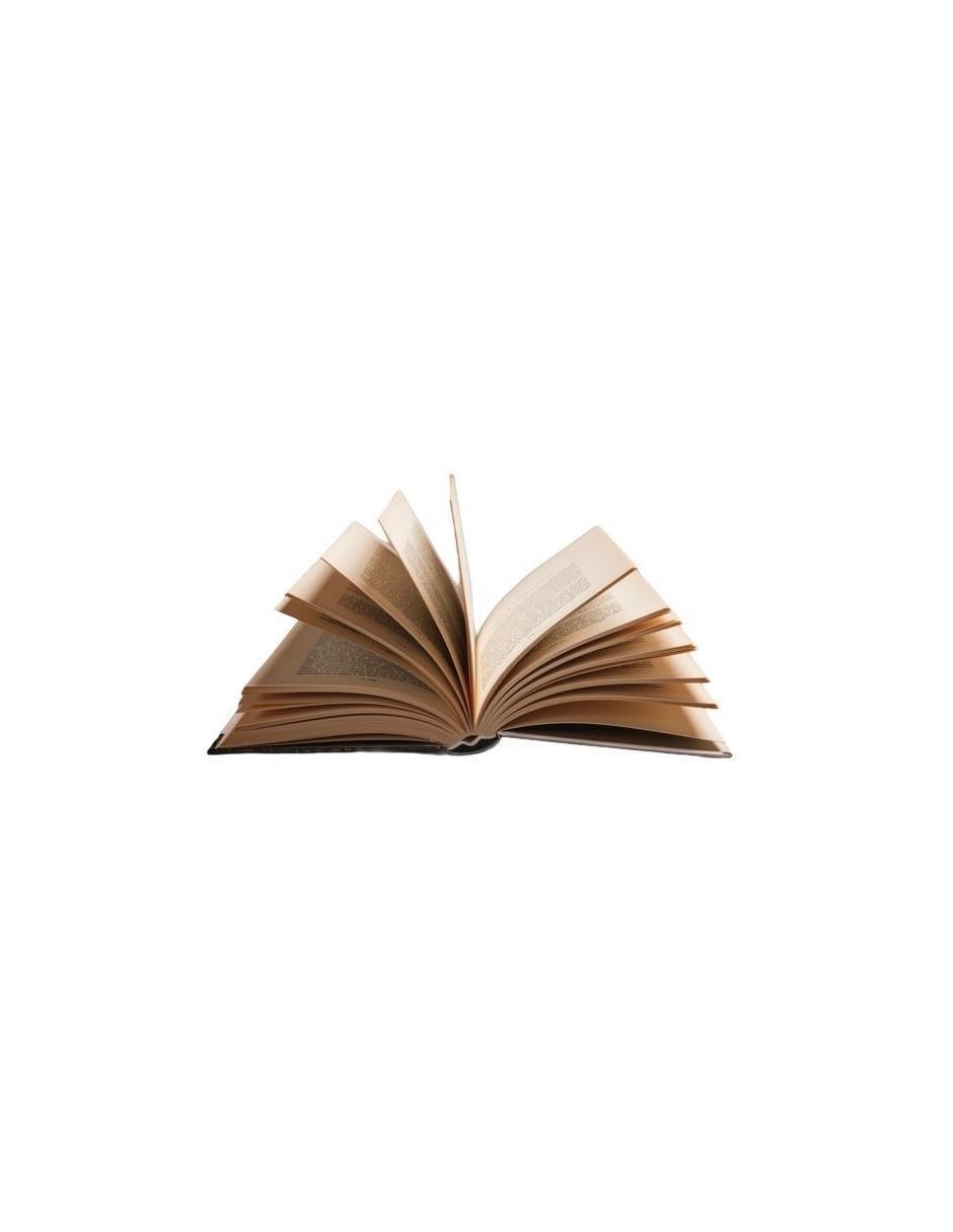 Libro El De Los Amigos Perdidos 2