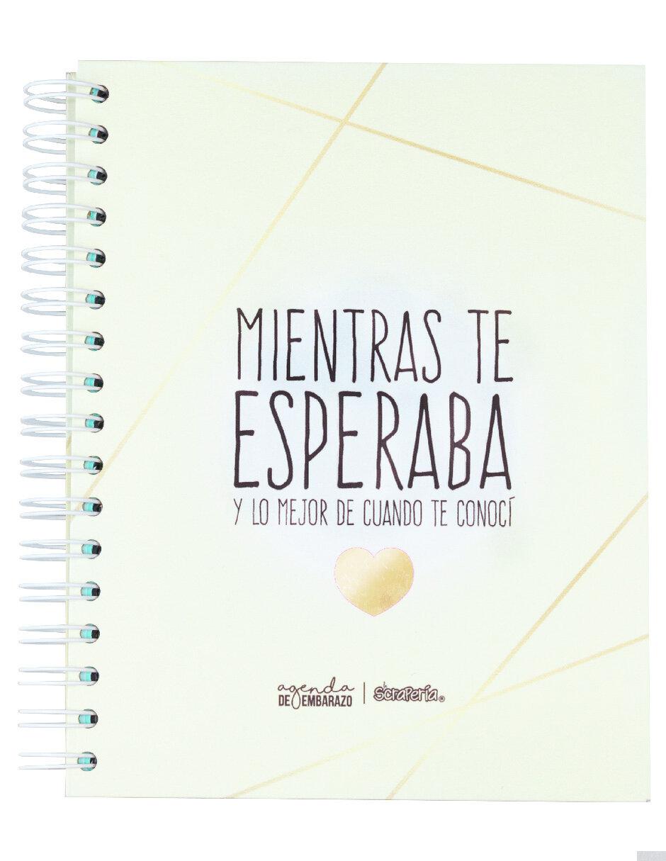 Agenda 1
