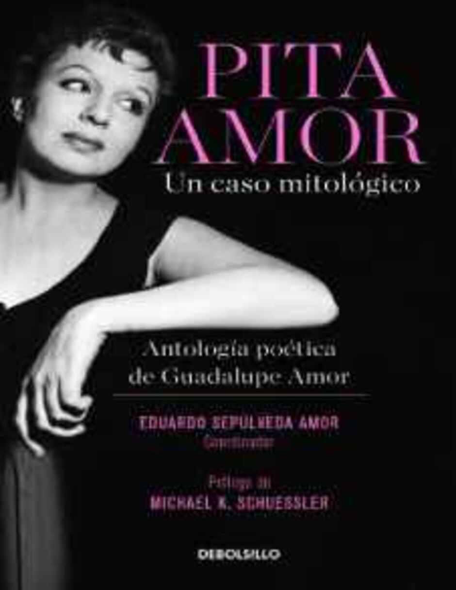 Libro Pita Amor: Un caso mitológico de Eduardo Sepúlveda Amor / Pita Amor / Michael K. Schuessler