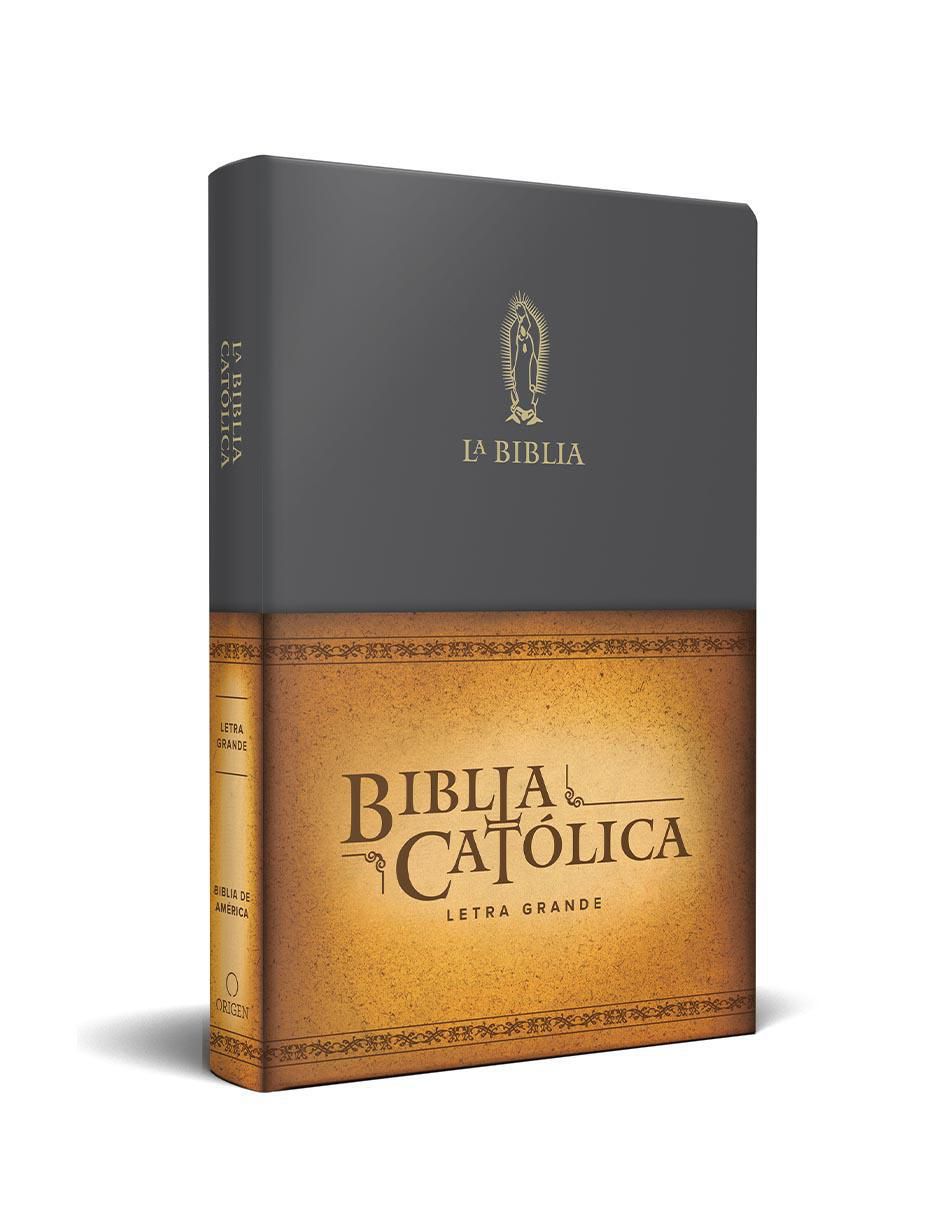 Libro La Biblia Católica Libro La Biblia Católica