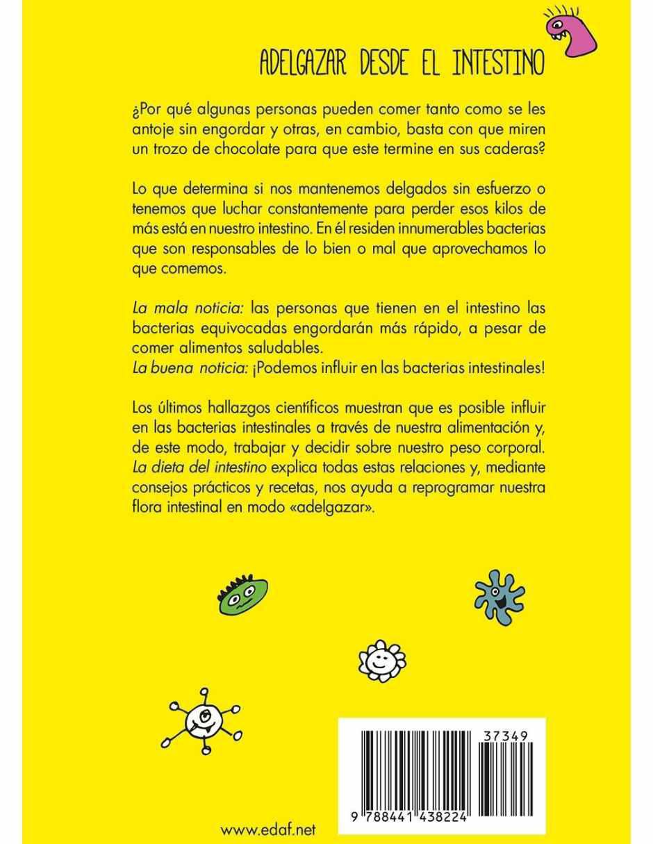 Libro La dieta del intestino de Michaela Axt-Gadermann 2