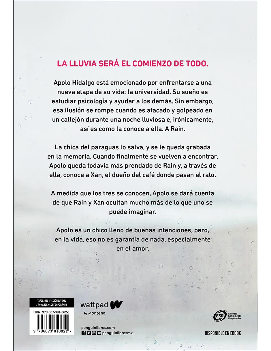 Libro A través de la lluvia de Ariana Godoy 2