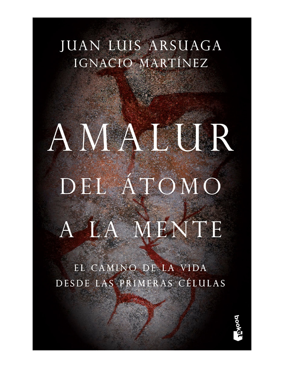 Libro Amalur de Ignacio Martínez Libro Amalur de Ignacio Martínez