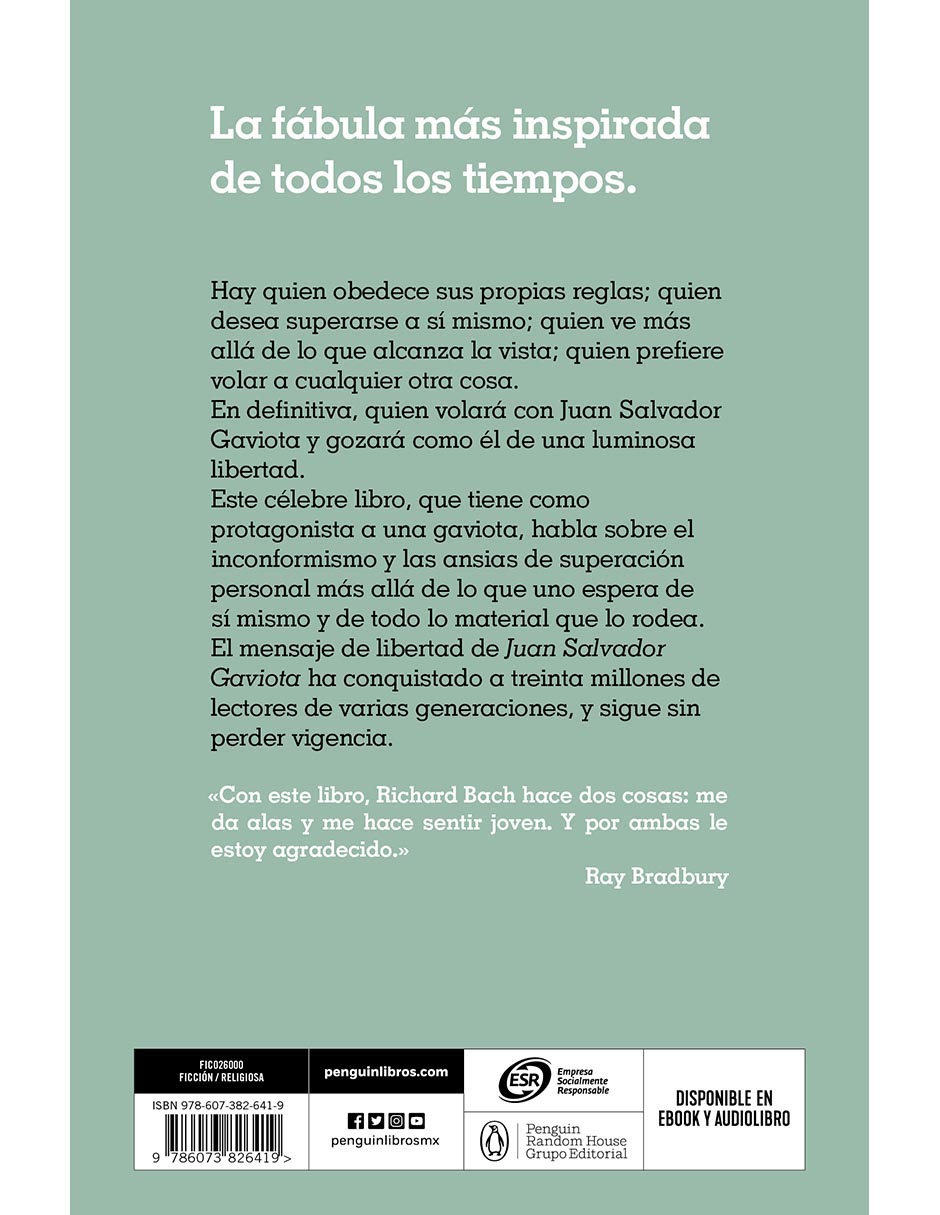 Libro Juan Salvador Gaviota de Richard Bach 2