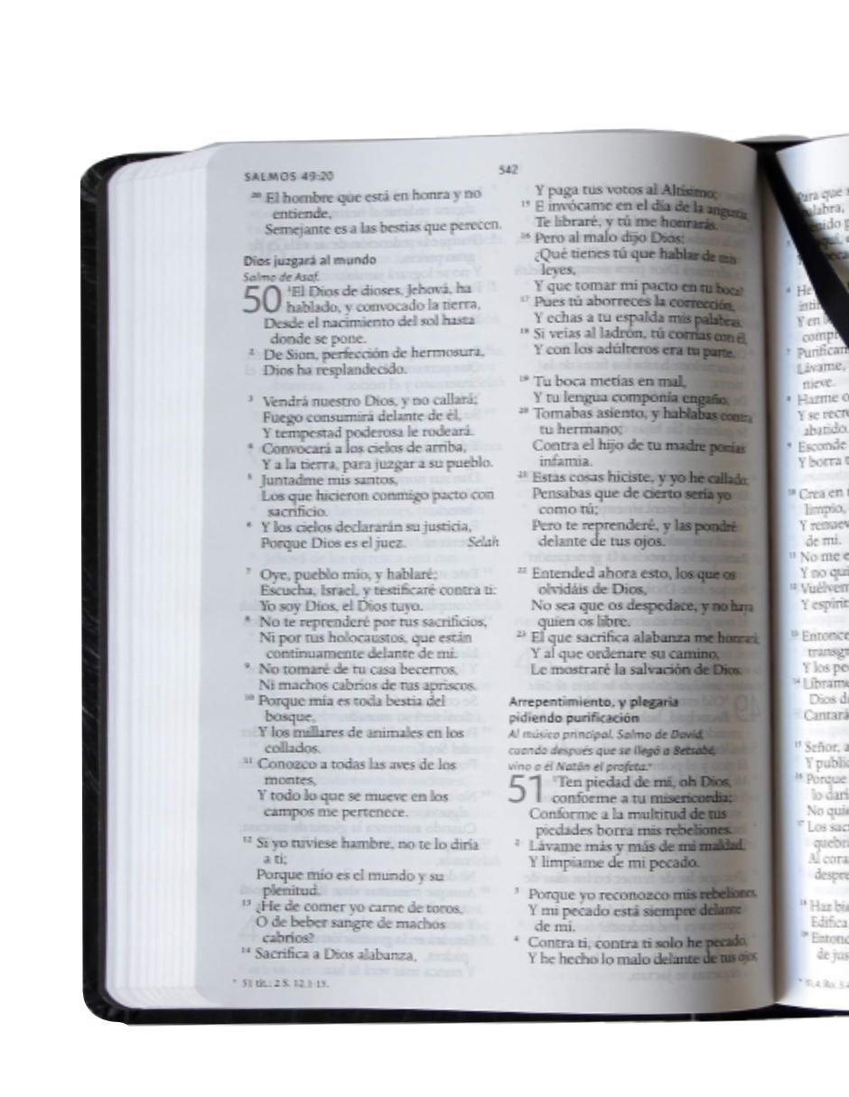 Libro Santa biblia reina valera 1960 letra grande. León de Judá de Reina Valera 3