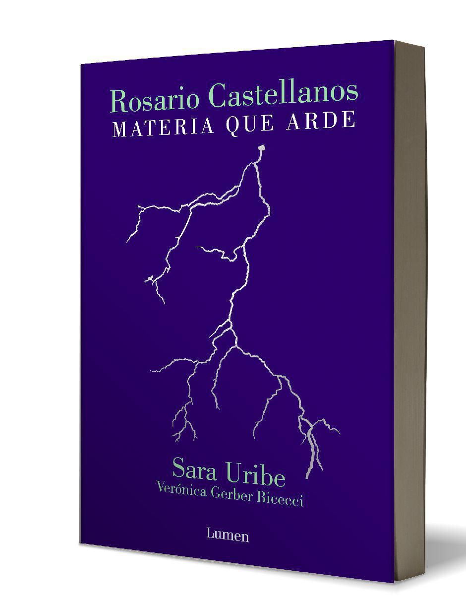 Libro Rosario Castellanos Materia que arde de Verónica Gerber Bicecci / Sara Uribe 3