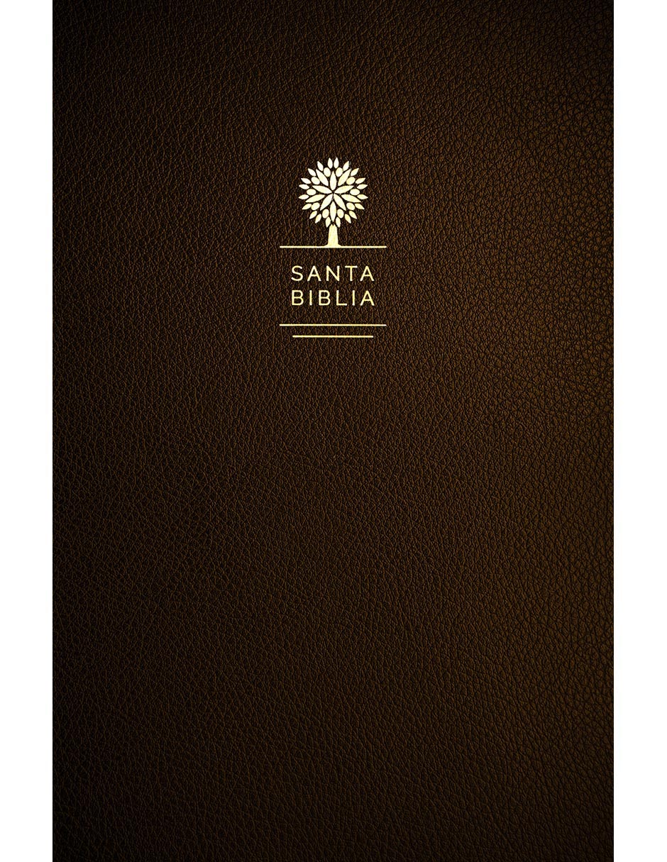 Libro Biblia reina valera 1960 de Reina Valera Libro Biblia reina valera 1960 de Reina Valera