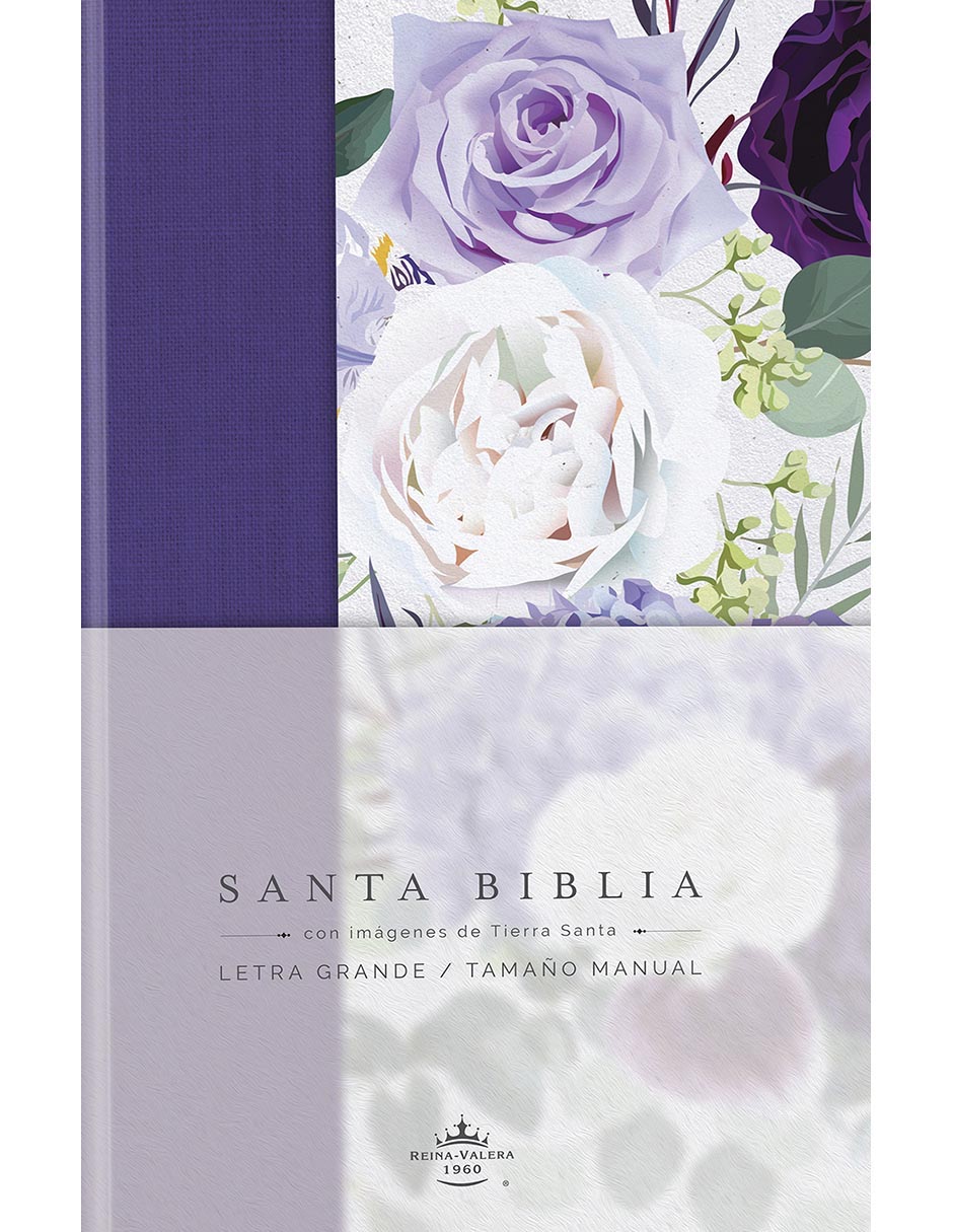 Libro Santa Biblia de Reina Valera