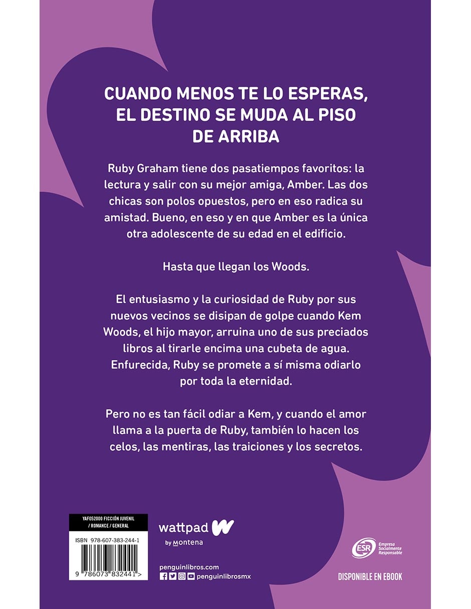 Libro El chico de arriba de Marie Jenn 2