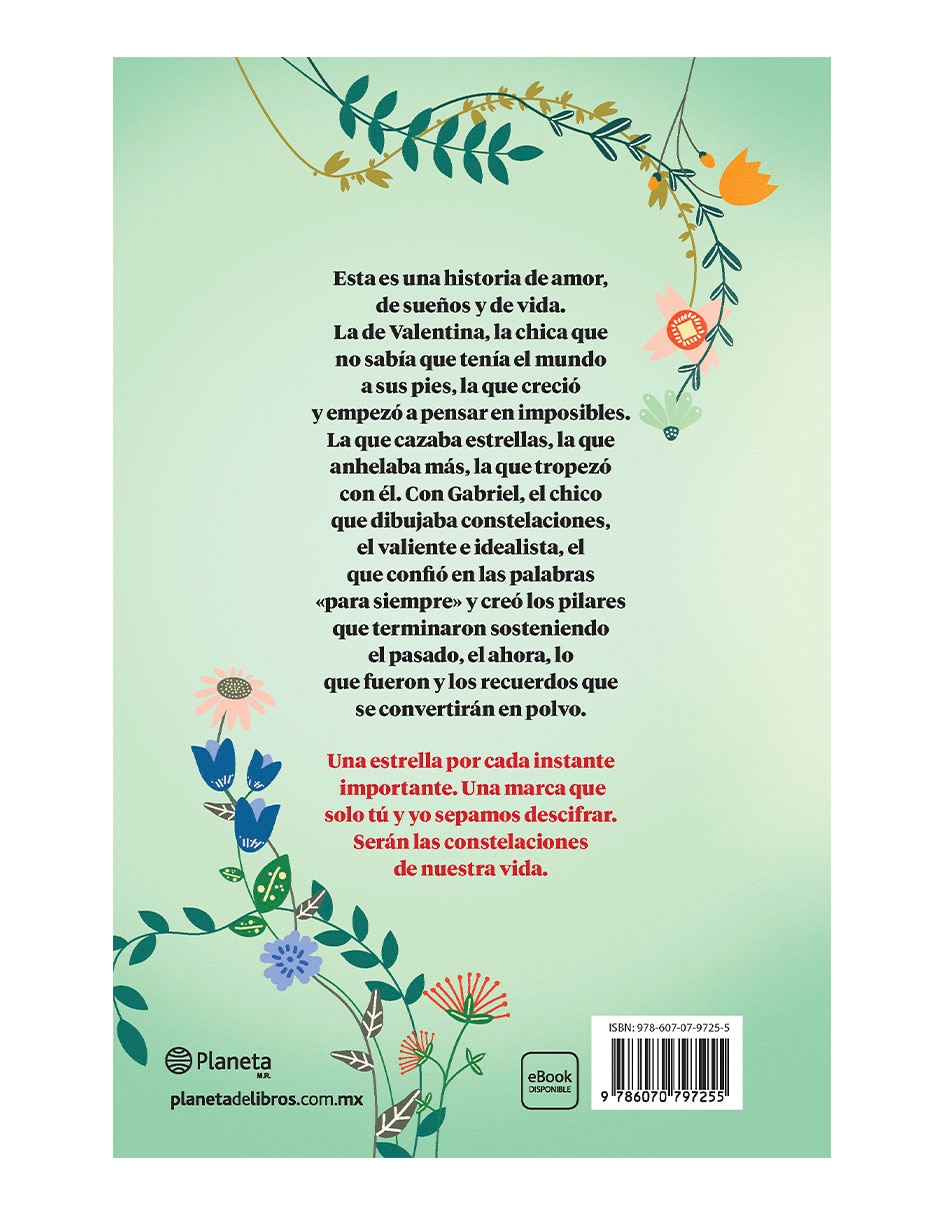 Libro El chico que dibujaba constelaciones de Alice Kellen 2