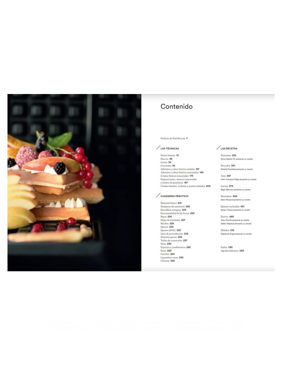 Libro Enciclopedia de la gastronomía francesa de Vincent Boué/ Hubert Delorme / Clay Mclachlan 2
