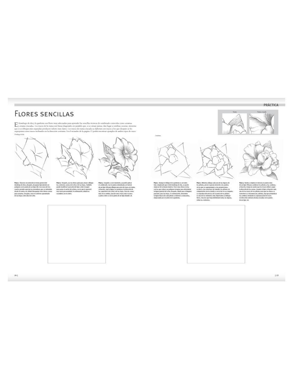 Libro Guía completa de dibujo: Cuaderno de ejercicios 3