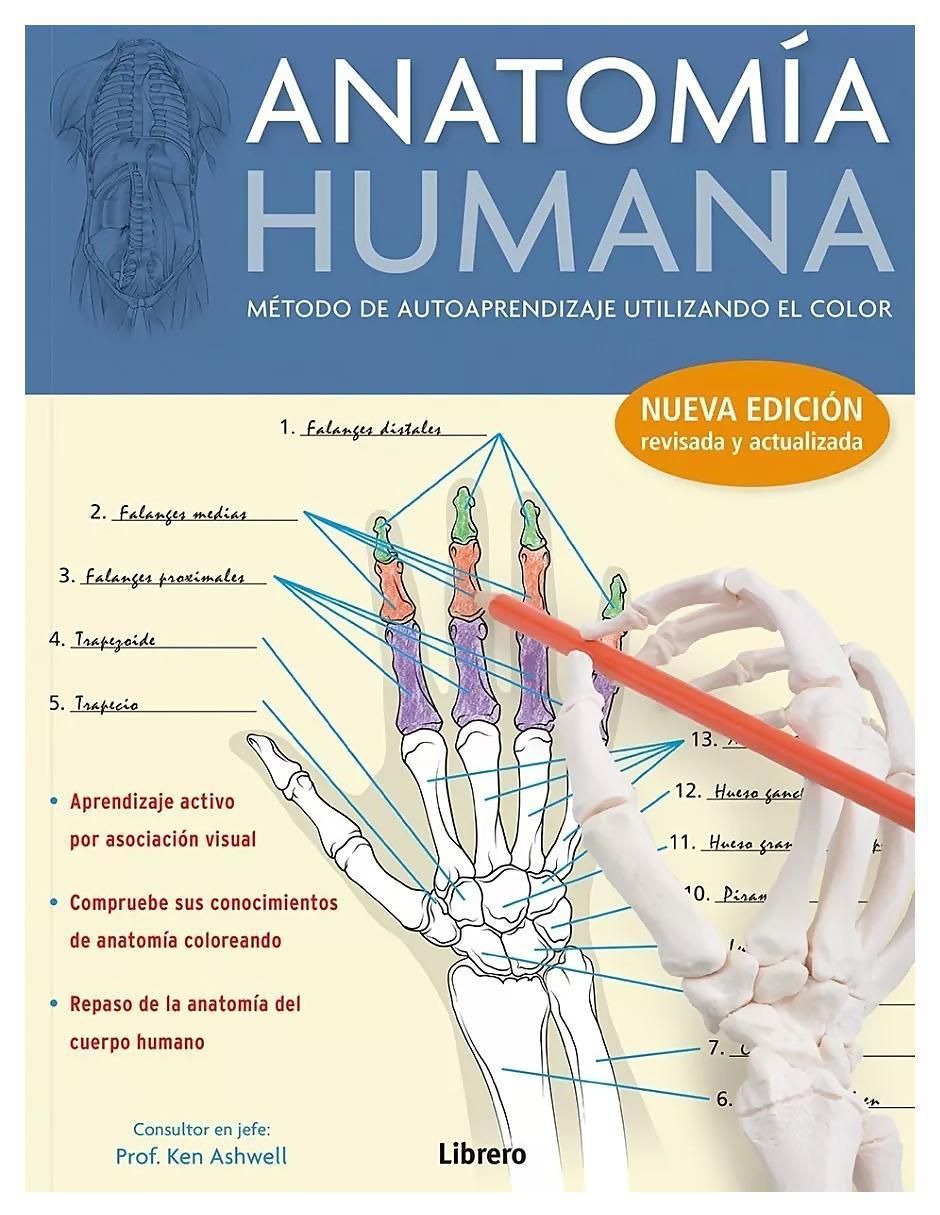Libro Anatomía humana: Método de autoaprendizaje utilizando color de Kurt H. Albertine
