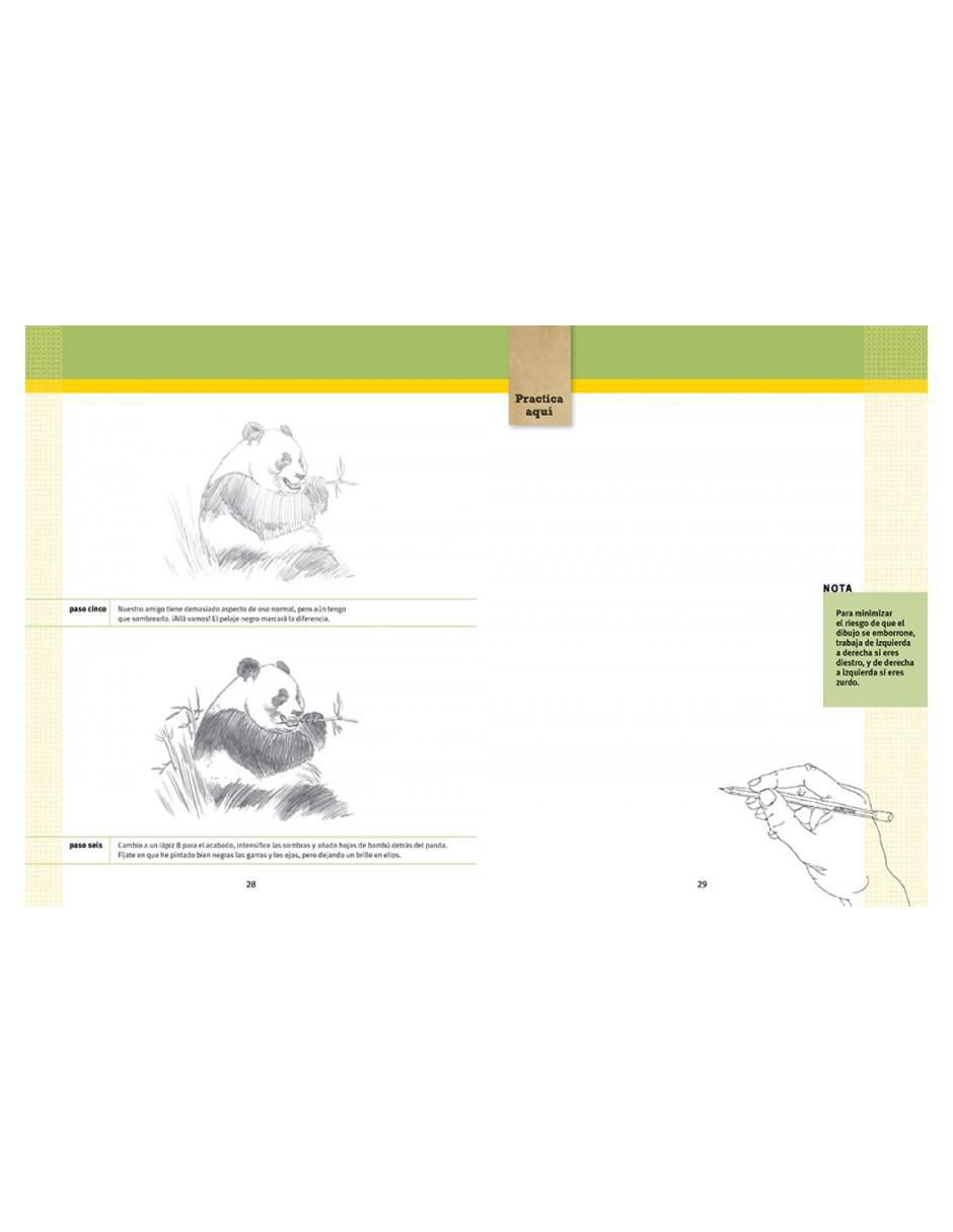 Libro 50 ideas para dibujar de Ed Tadem 2