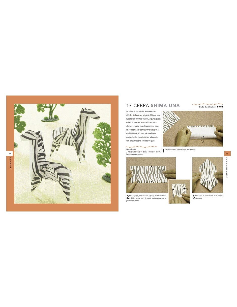 Libro Origami para niños de Mari Ono y Roshin Ono 2