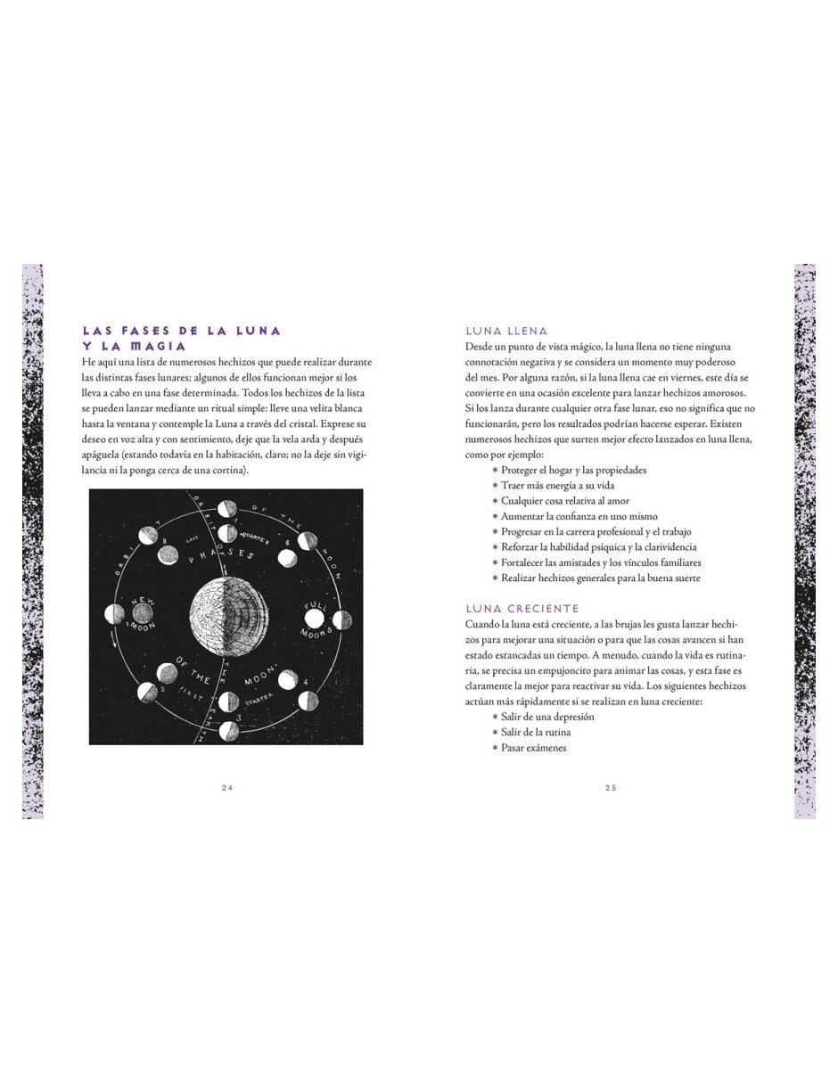 Libro Wiccapedia diario de Shawn Robbins/Leanna Greenaway 4